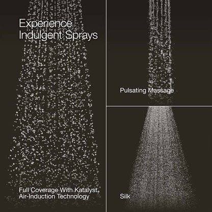 Forte 2.5 GPM Multi Function Shower Head