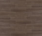 Edgewood Graphite Plank 6X24 Matte