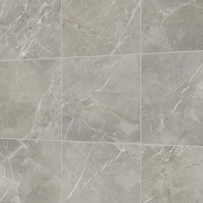 Platinum Dove Square 12X12 Matte