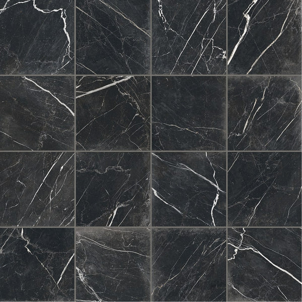 Antica Roma 12" x 12" Matte Porcelain Tile in Nero
