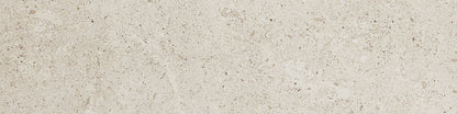Dignitary Luminary White Rectangle 12X24 Polished