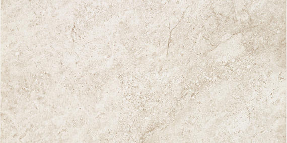 Choice Buff Rectangle 12X24 Matte