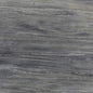 PLATINUM GRAY QUARTZITE