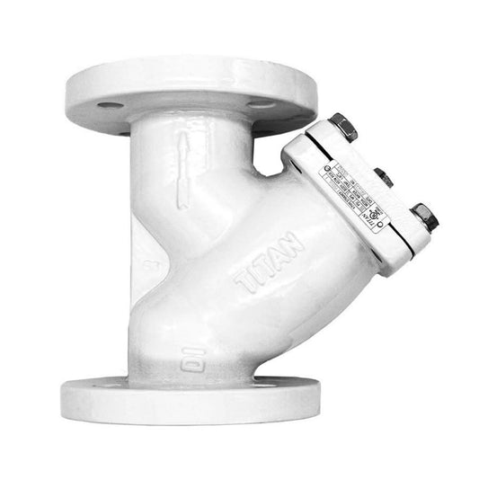 Strainer, 2-1/2 in, Flange, Ductile Iron