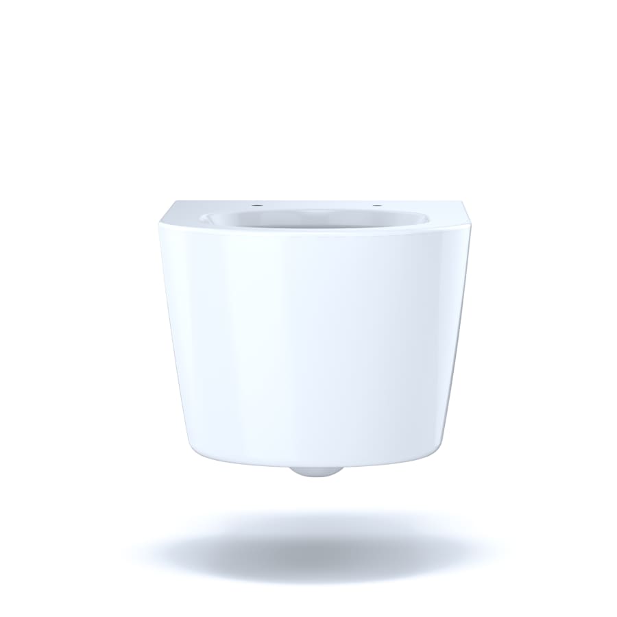 RP D-Shape Wall Mounted Toilet Bowl Only with CeFiONtect