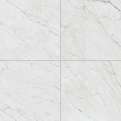 Marble Attache Lavish Diamond Carrara Rectangle 24X48 Satin