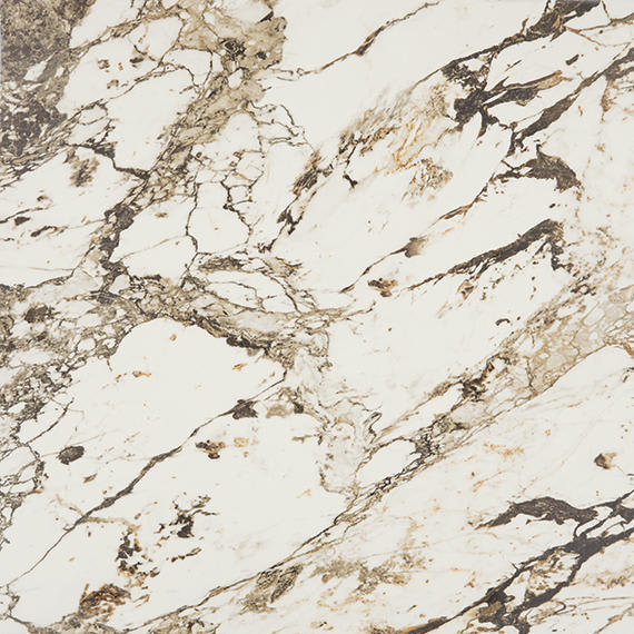 Panoramic Duet Calacatta Aries Square 48X48 Matte