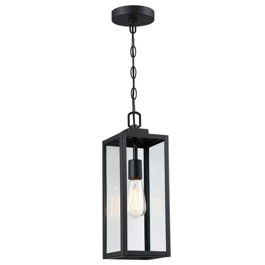 1-Light Matte Black Outdoor/Indoor Pendant Light with Clear Glass Shade