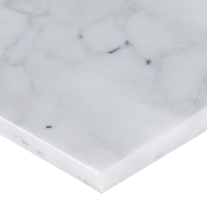 Calacatta Cressa White Subway Tile 3x6