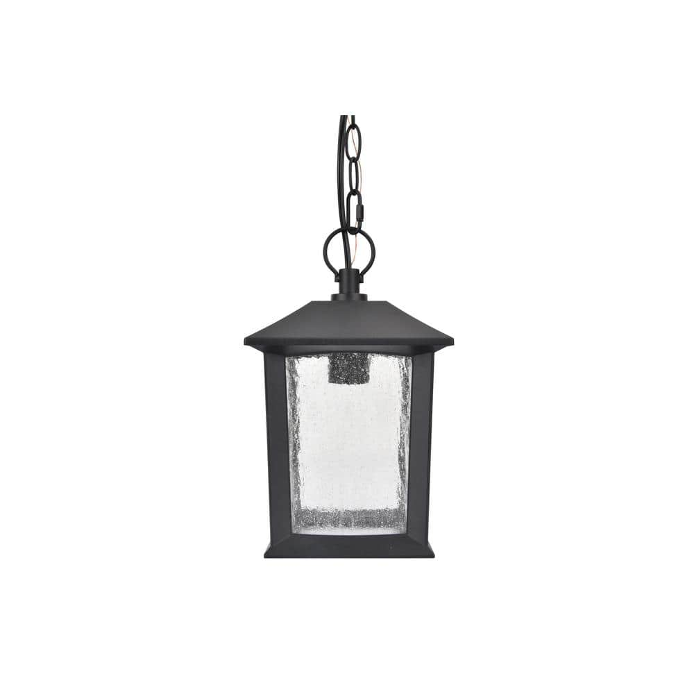 Ashton 1-Light Black Outdoor Pendant Light with Clear Seeded Glass