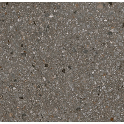 PERENNE JAVA MT 24X24