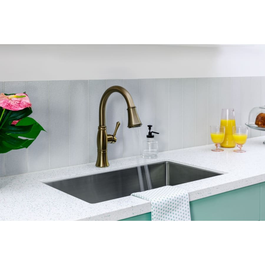 Cassidy Pull-Down Kitchen Faucet with Magnetic Docking Spray Head and ShieldSpray - Includes Lifetime Warranty