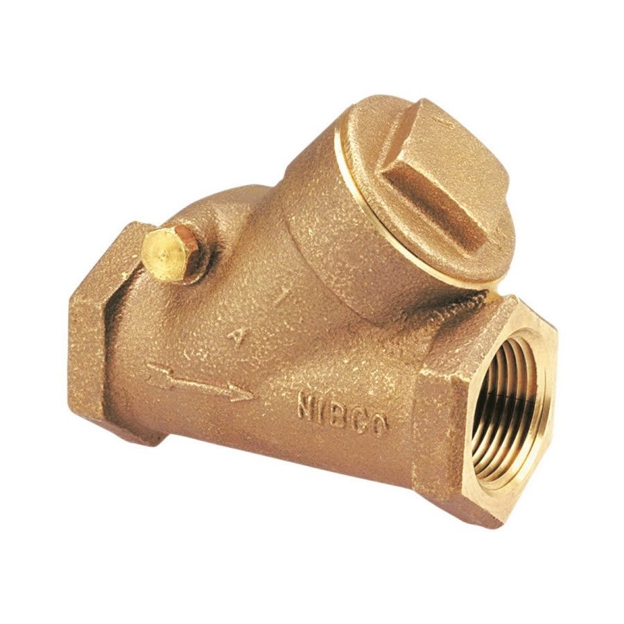 Swing Check Valve, 2 in, FNPT, Bronze