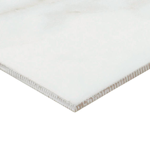 Platinum Magnolia Rectangle 6X18 Glossy