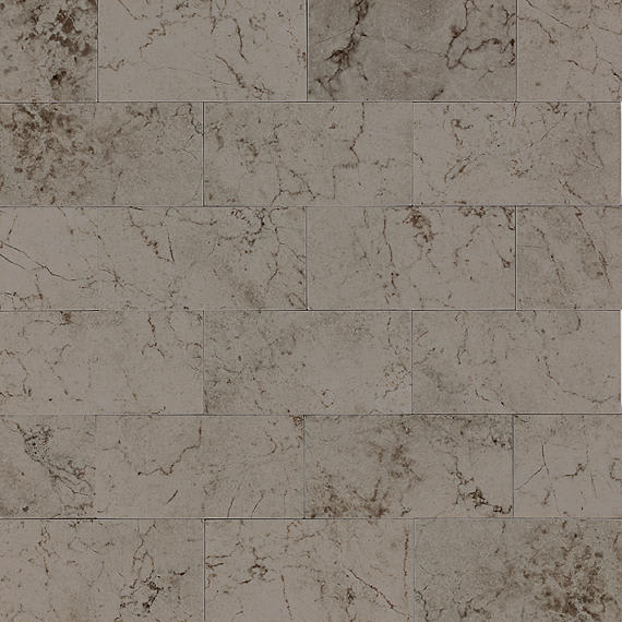 Marble Silver Screen Rectangle 8X36 Polished