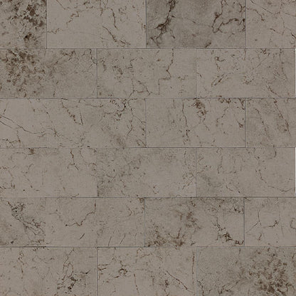 Marble Silver Screen Rectangle 8X36 Polished