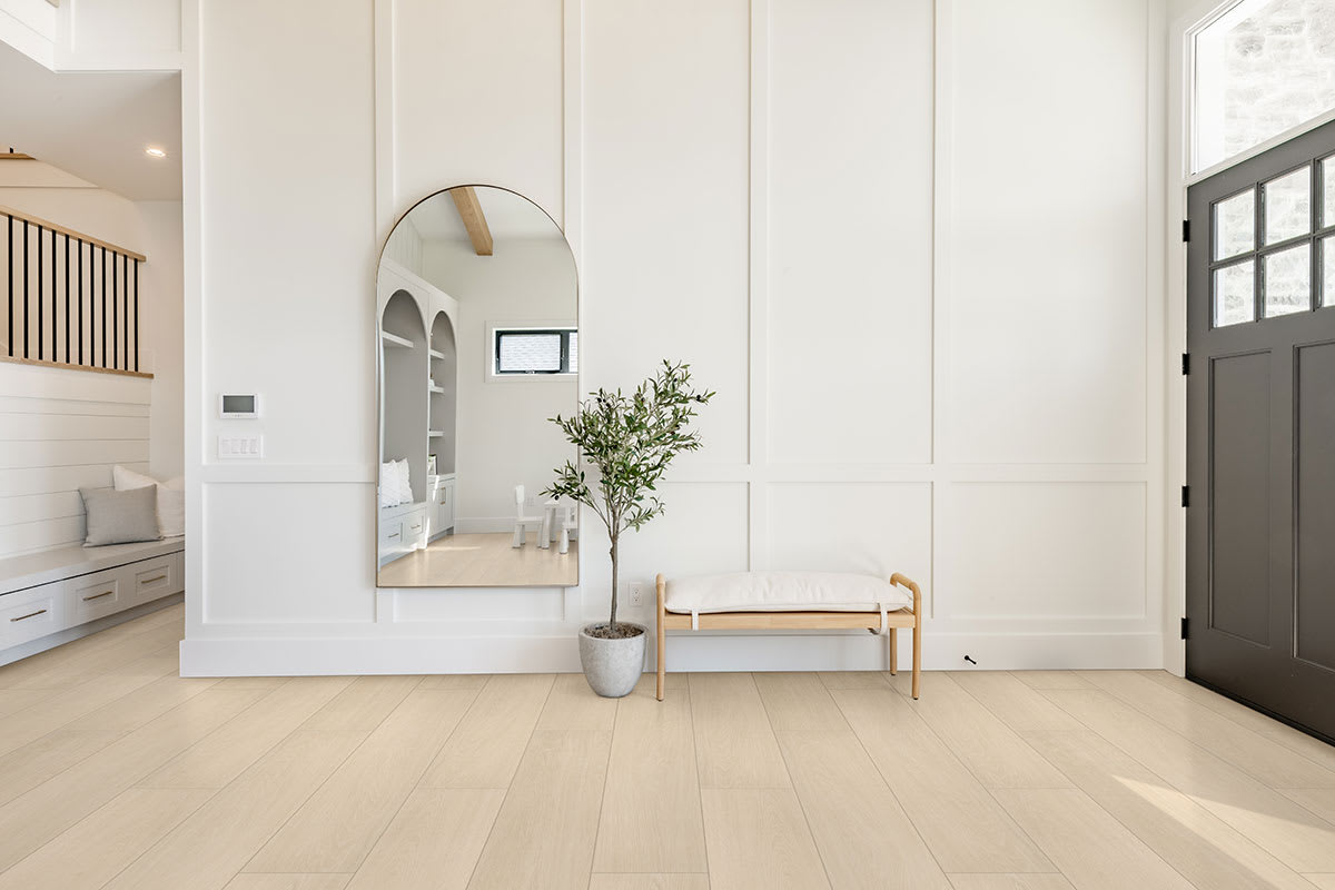 Placero Maple