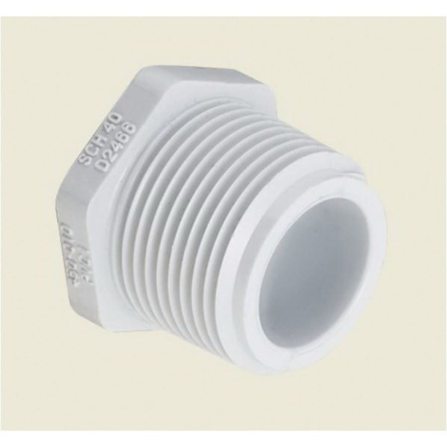 Plug, 2 in, MNPT, SCH 40/STD, PVC