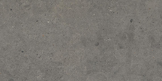 Modern Formation Smoky Ridge Rectangle 24X48 Matte