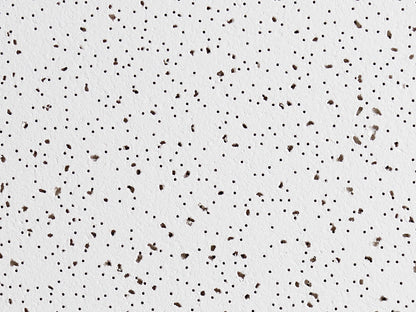 2 ft. x 2 ft. Radar Basic White Square Edge Lay-In Ceiling Tile, case of 4 (16 sq. ft.)