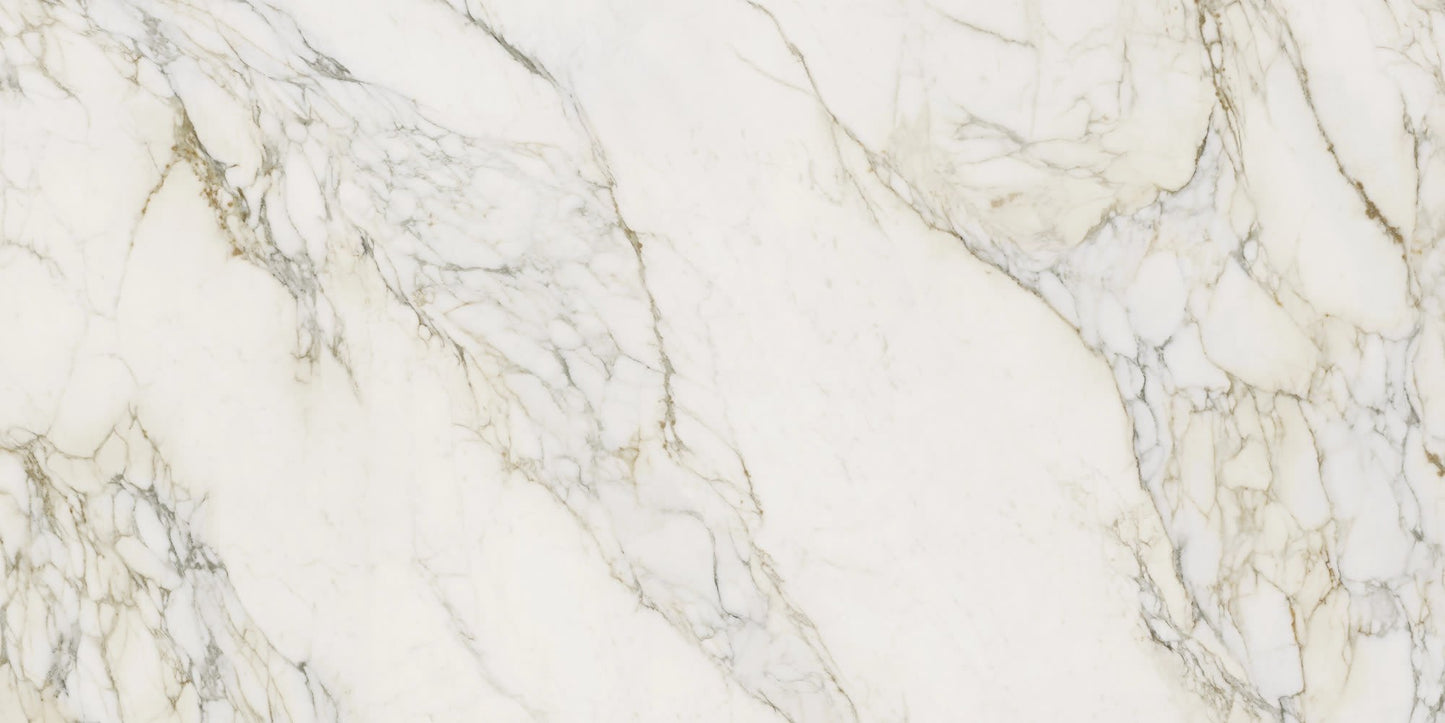 Calacatta Antico P01 Sr