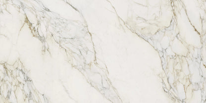 Calacatta Antico P01 Sr