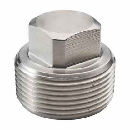 Square Head Plug, 1/2 in, MNPT, 304/304L Stainless Steel, 3000 lb