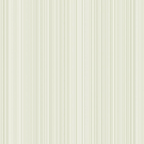 SKINS FEEL CORDUROY 106 60X1000 (Make to order)