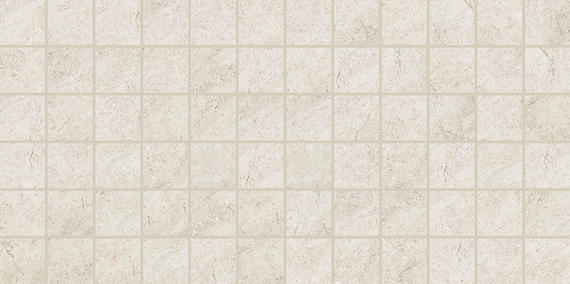Choice Buff Rectangle 12X24 Matte