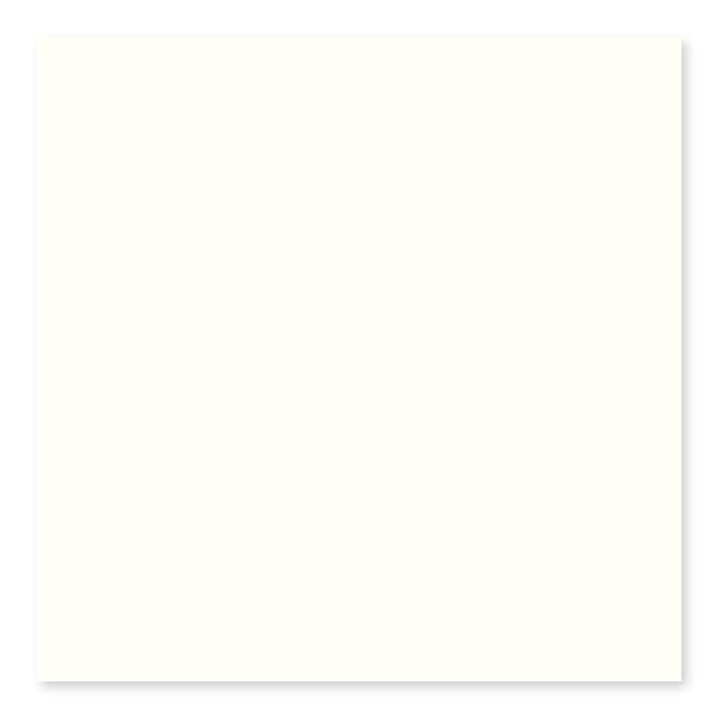 BG BISCUIT 3X3 SBN CRN
