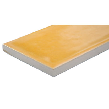 RAKU MUSTARD MT 3X12