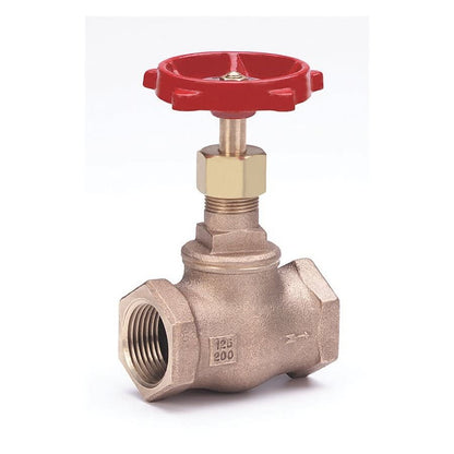 502 Rising Stem Globe Valve, 2 in, FNPT, Bronze
