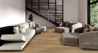 Silver Elm