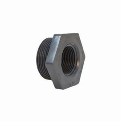 Bushing, 1/2 x 1/4 in, MNPT x FNPT, SCH 80/XH, PVC