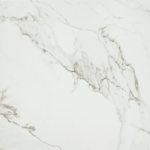 Platinum Magnolia Rectangle 6X18 Glossy