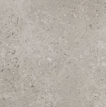 Dignitary Superior Taupe Xterior Paver 24X24 Textured