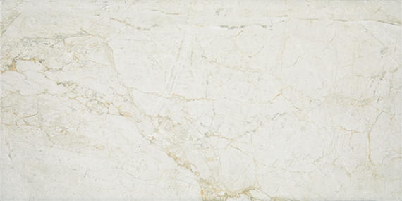 Platinum Alabaster Rectangle 12X24 Matte