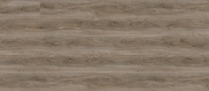 California Buckeye