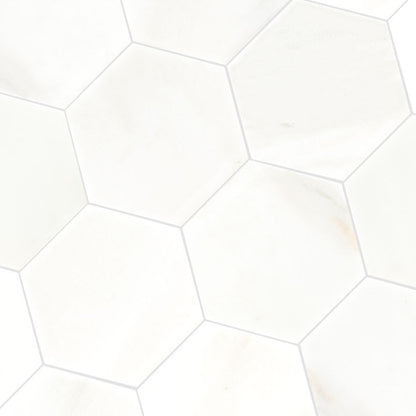 Greecian White 8" Hexagon Polished