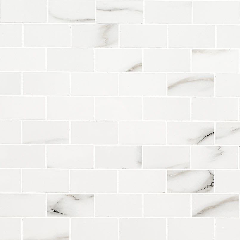 Aria Bianco Subway Tile 2X4