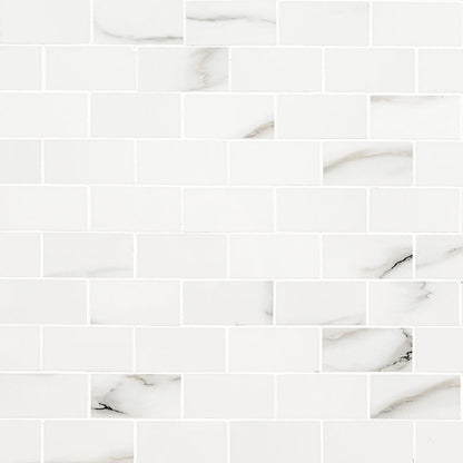 Aria Bianco Subway Tile 2X4