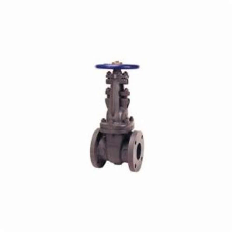 617 OS&Y Gate Valve, 2-1/2 in, Flange, Cast Iron