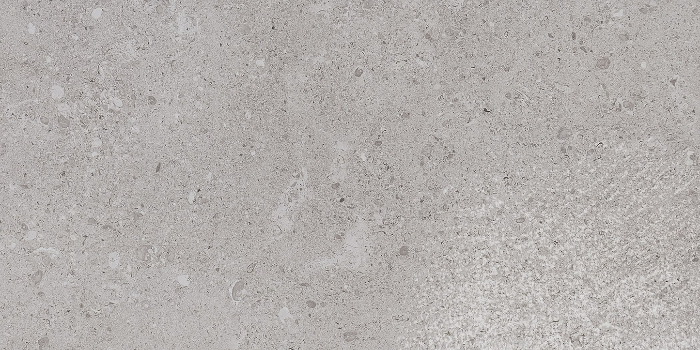 Dignitary Eminence Grey Rectangle 12X24 Matte