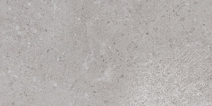 Dignitary Eminence Grey Rectangle 12X24 Matte