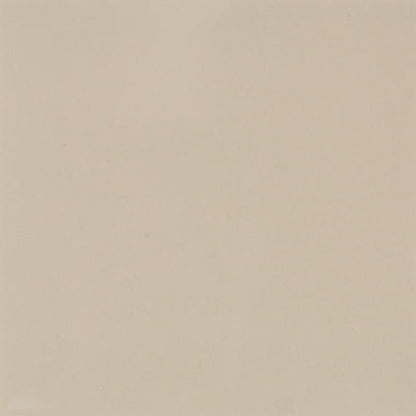 Color Wheel Classic Matte Urban Putty Square 4X4 Matte