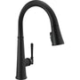 Emmeline 1.8 GPM Single Hole Pull Down Kitchen Faucet with ShieldSpray and Magnetic Docking Spray Head