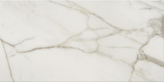 Mythique Marble Calacatta Venecia Square 12X12 Polished