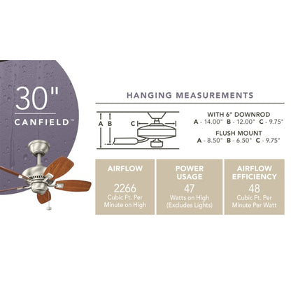 Canfield 30" Indoor / Outdoor Ceiling Fan