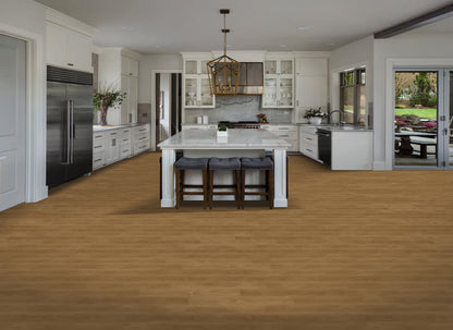 Rainforest Brown