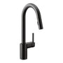 Align Pull-Down Spray Kitchen Faucet